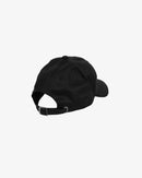 10TH ANNIVERSARY DAD CAP